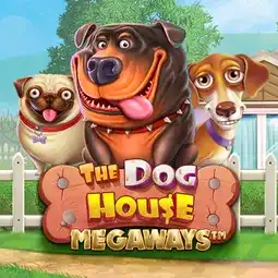 The Dog House Megaways gra w Spinit Casino dla graczy z Polski The Dog House Megaways gra w Spinit Casino dla graczy z Polski