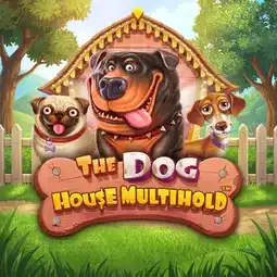 The Dog House Multihold gra w Spinit Casino dla graczy z Polski The Dog House Multihold gra w Spinit Casino dla graczy z Polski
